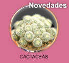 Cactaceas